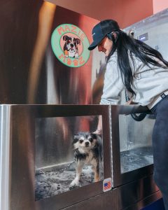How Local Partnerships Can Strengthen Your Brand: Dog Watch & Pete Black Plumbing
